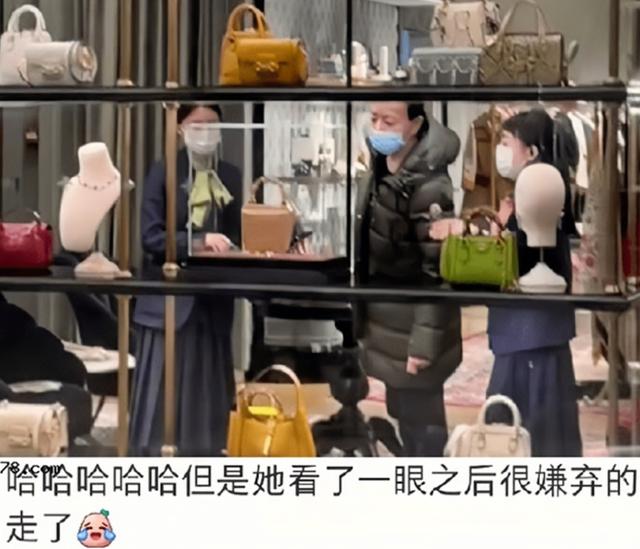 宋丹丹与巴图一家(宋丹丹3套亿万豪宅)(9)