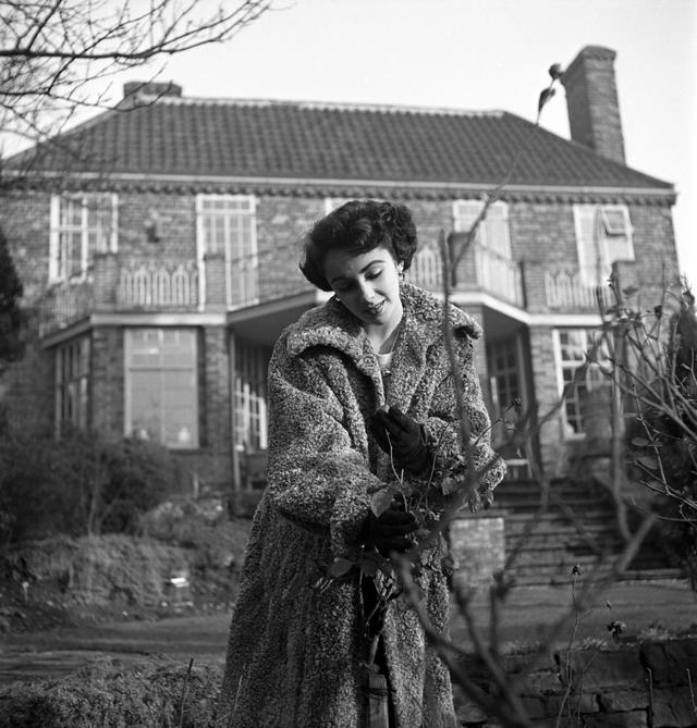 伊丽莎白泰勒惊艳世人（伊丽莎白泰勒传奇人生）(5)