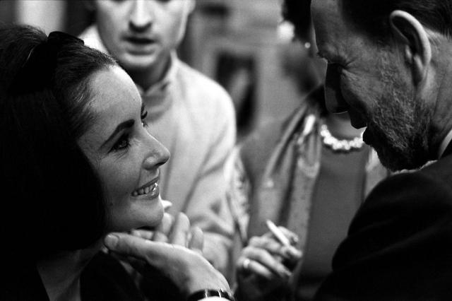 伊丽莎白泰勒惊艳世人（伊丽莎白泰勒传奇人生）(20)