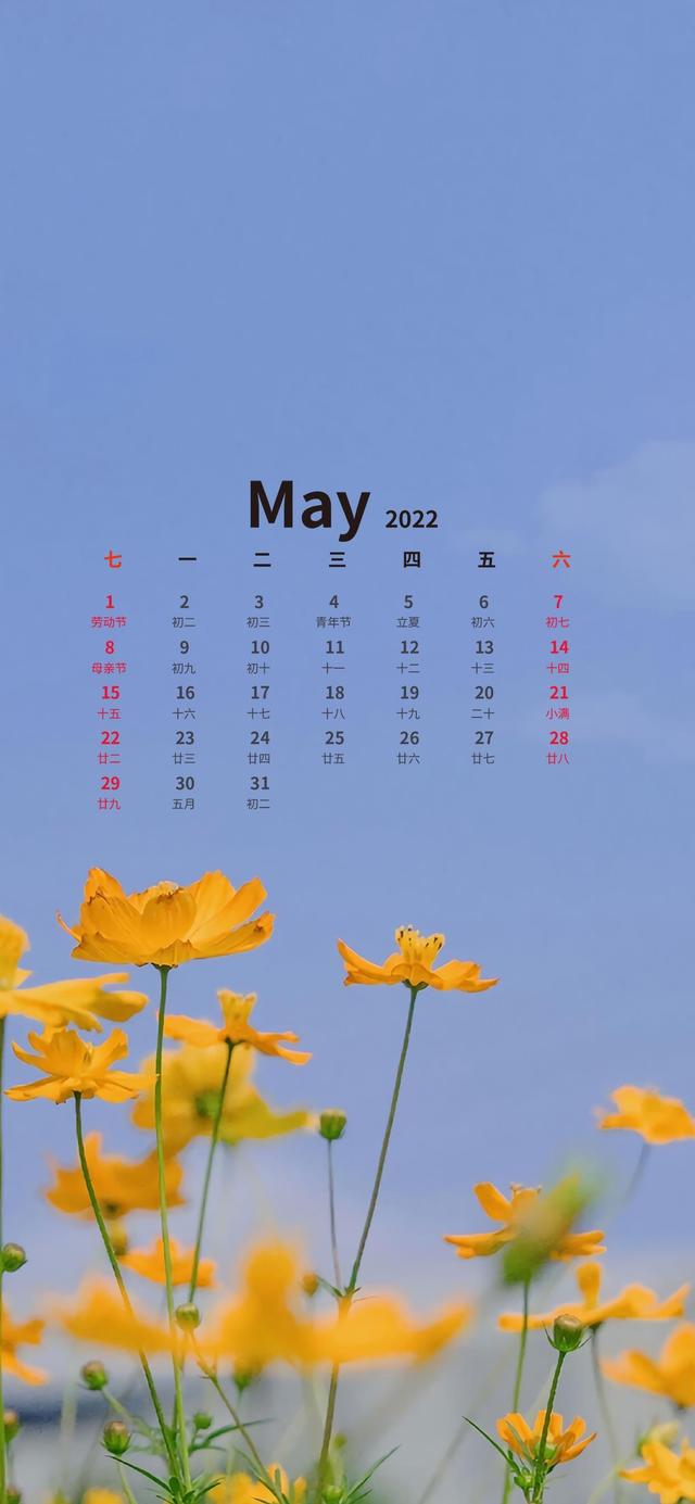 11月温暖的日历壁纸（超好看的五月日历壁纸来了）(18)
