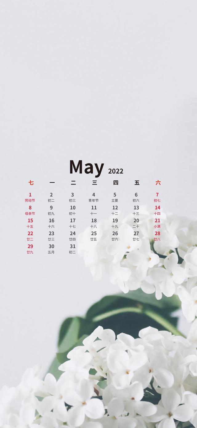 11月温暖的日历壁纸（超好看的五月日历壁纸来了）(6)
