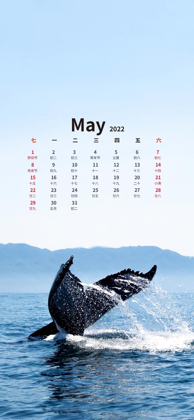 11月温暖的日历壁纸（超好看的五月日历壁纸来了）(24)