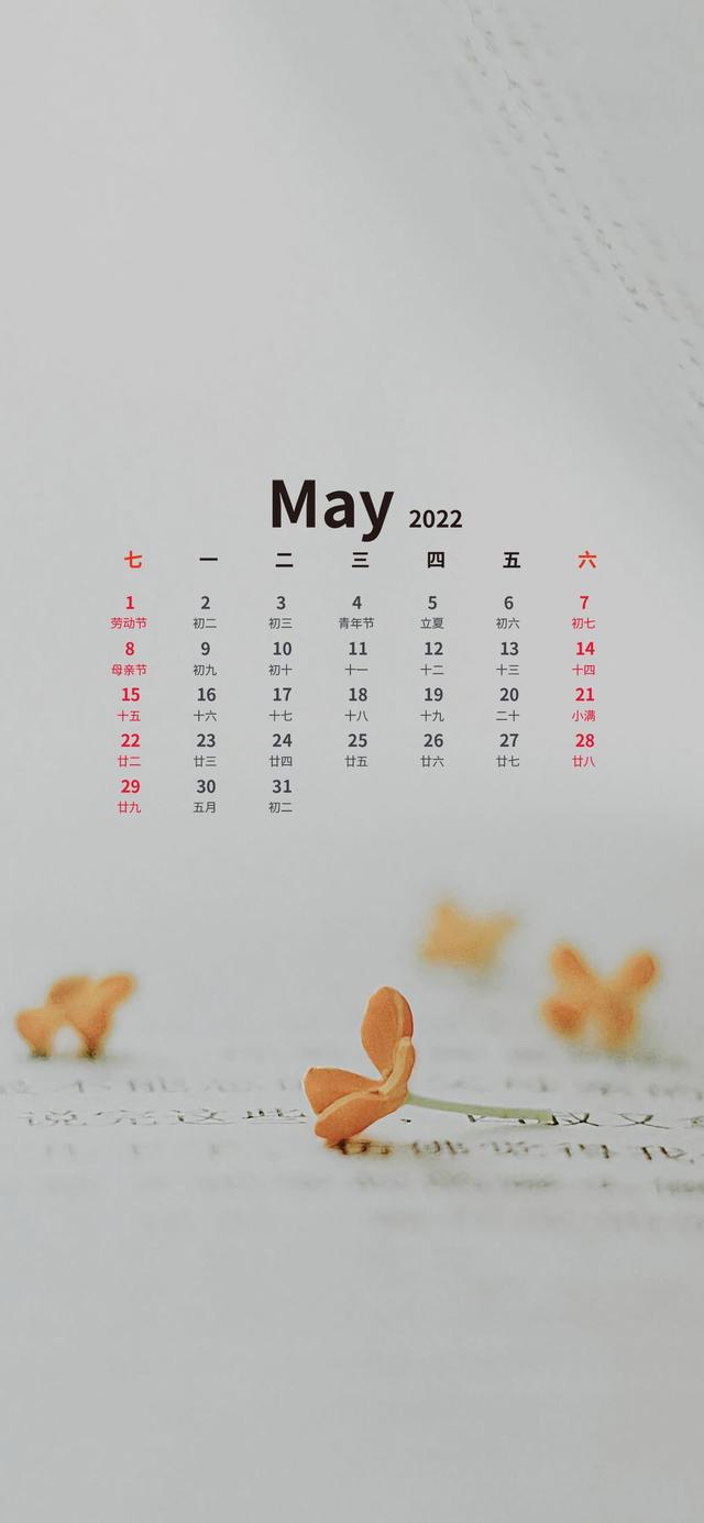 11月温暖的日历壁纸（超好看的五月日历壁纸来了）(20)