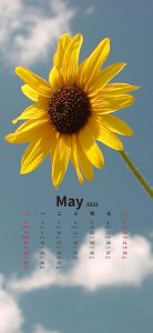 ​11月温暖的日历壁纸（超好看的五月日历壁纸来了）