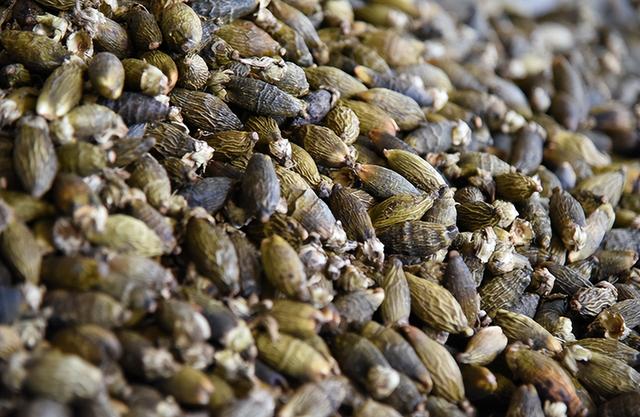 槟榔几级致癌物（国际公认1级致癌物）(15)