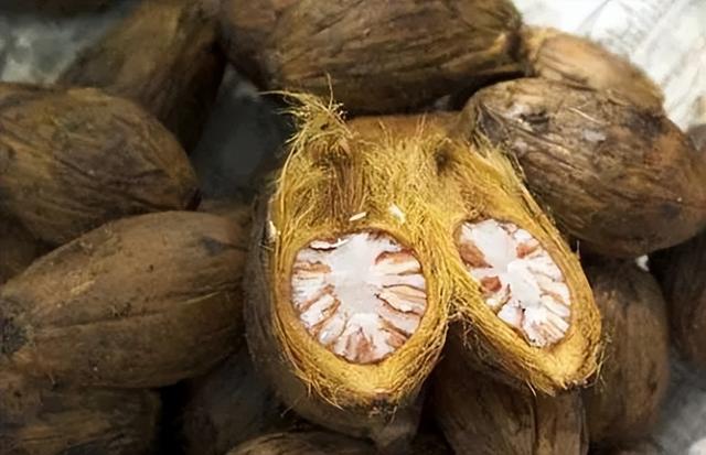 槟榔几级致癌物（国际公认1级致癌物）(6)