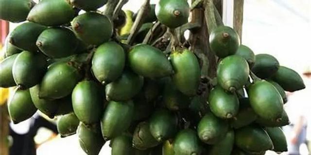 槟榔几级致癌物（国际公认1级致癌物）(5)