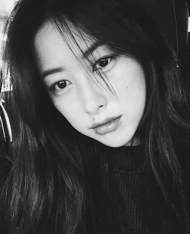 98鹿鼎记苏荃扮演者（新版鹿鼎记的苏荃）(14)