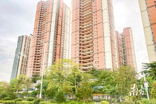 东莞二手房指导价出来会怎样（继广深后东莞也推二手房参考价）(3)