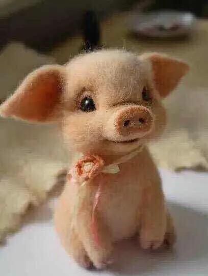 万圣节的真正来历，万万圣节的圣节的来历？图6