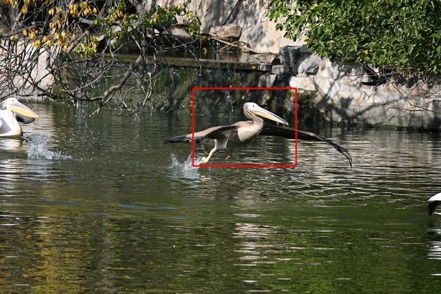 尼康z5与z50评测（一台性能均衡的微单）(11)