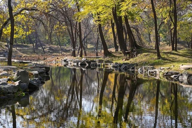 尼康z5与z50评测（一台性能均衡的微单）(8)