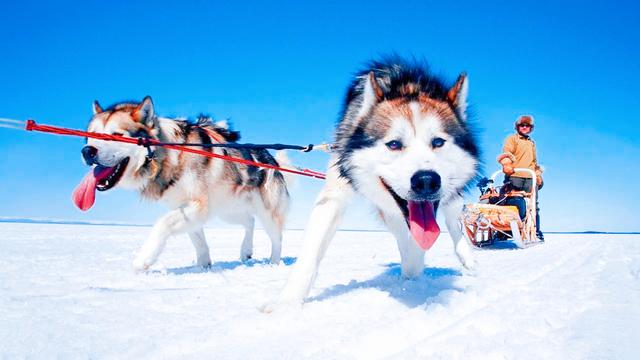 爱斯基摩人的悲哀（以妻待客的爱斯基摩人）(11)