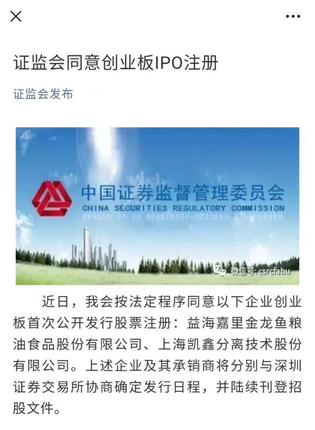 益海嘉里ipo现状（益海嘉里IPO米面油）(1)