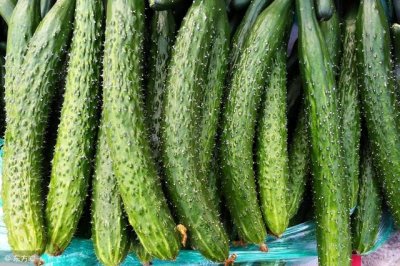 ​空腹吃黄瓜可以吗(空腹可以吃黄瓜?)