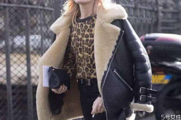 什么是羊羔毛 羊羔毛和羊毛有什么区别 什么是羊羔毛 羊羔毛和羊毛有什么区别