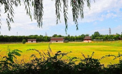 ​探寻团河行宫历史韵味 见证文化瑰宝再现辉煌