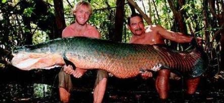 谷嘉诚的个人资料及简介 电视剧作品