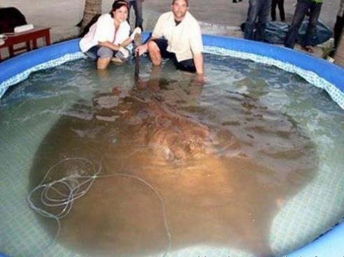 谷嘉诚的个人资料及简介 电视剧作品