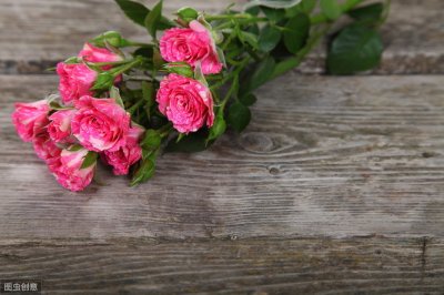 ​狮子座和白羊座，白羊座和狮子座分手后的结局