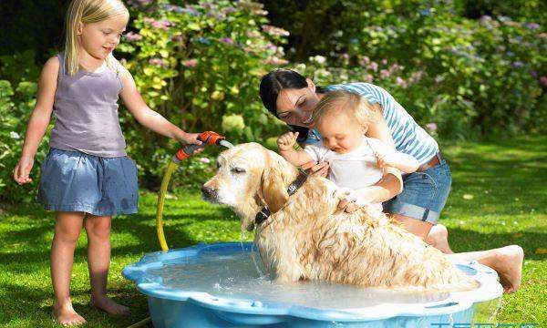 郜坤名字的寓意,若谷名字寓意2025图8