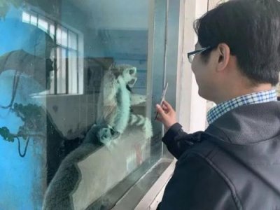 ​世界最差动物园是哪一个(最差的动物园)