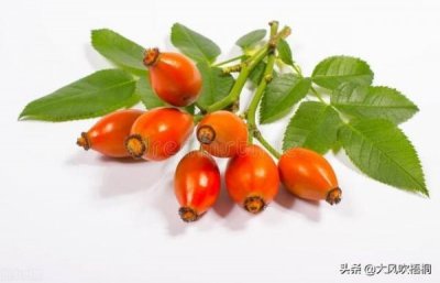 ​意大利宾利天韵葡萄酒2014