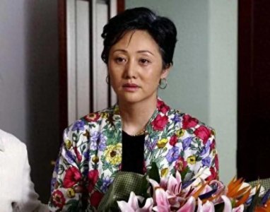 ​赵丽娟：演艺界的璀璨明星