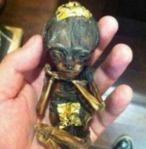 ​养小鬼是什么意思，怪谈星期二讲了什么？