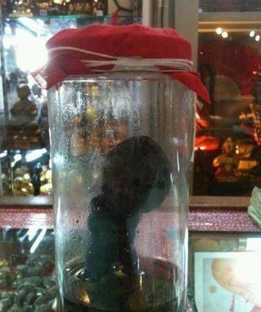 养小鬼到底是吃饭还是喝血啊我晕