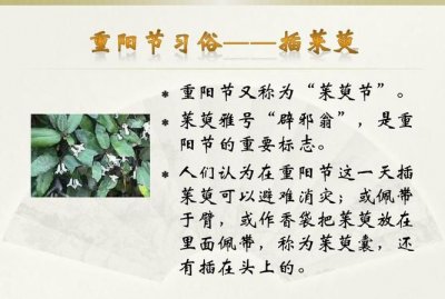 ​重阳节有哪三个风俗，重阳节有哪三个习俗？