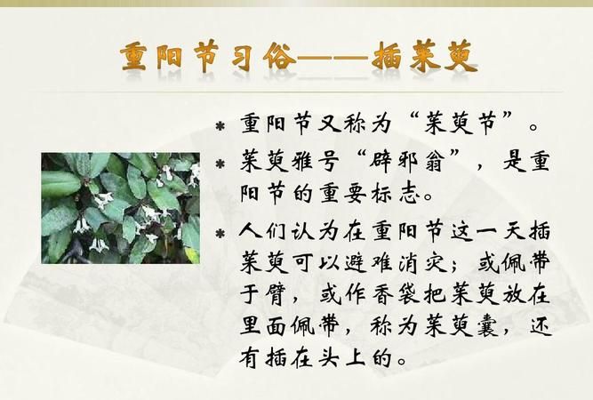 重阳节有哪三个习俗