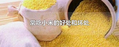 ​常吃小米的好处和坏处