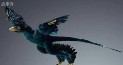 ​一种长有羽毛和翅膀的恐龙 小盗龙体长不到80cm(生活在森林)