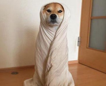 ​天涯明月刀pc怎么搬砖（天涯明月刀pc端设置)