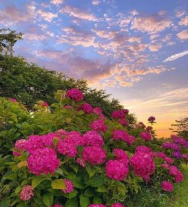 ​和老公没感情了想离婚怎么办（夫妻之间没感情了）