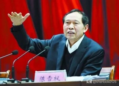 ​从荣耀到堕落：陈雪枫的政治悲剧与反腐启示