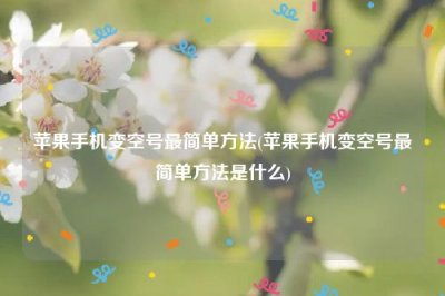 ​苹果手机变空号最简单方法(苹果手机变空号最简单方法是什么)
