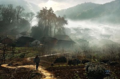 ​合欢树读后感600字_合欢树读后感50字左右感悟