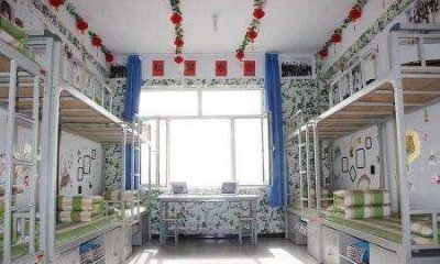 ​学生宿舍怎么驱赶老鼠,宿舍有老鼠怎么办