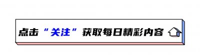 ​为什么喜鹊窝不怕刮风下雨？“高层别墅”里到底有什么秘密