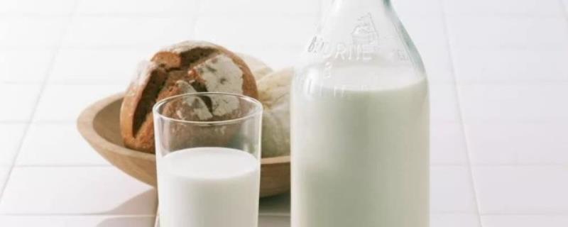 女人喝什么奶粉好（五十岁左右的女人喝什么奶粉好）(1)