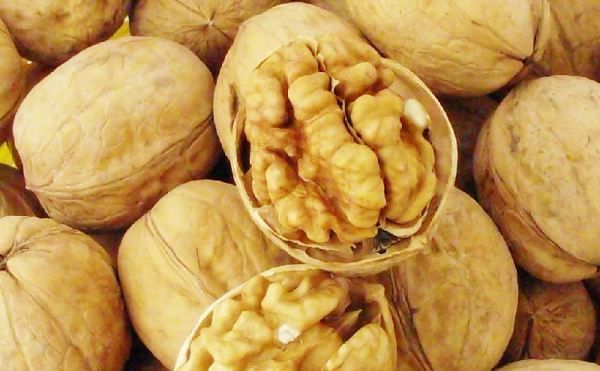 坚果类食品有哪些,坚果类食物有哪些图片图4