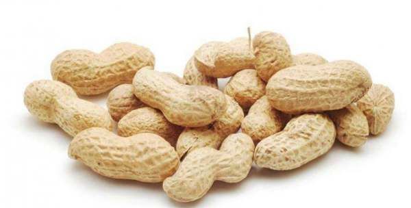 坚果类食品有哪些,坚果类食物有哪些图片图5