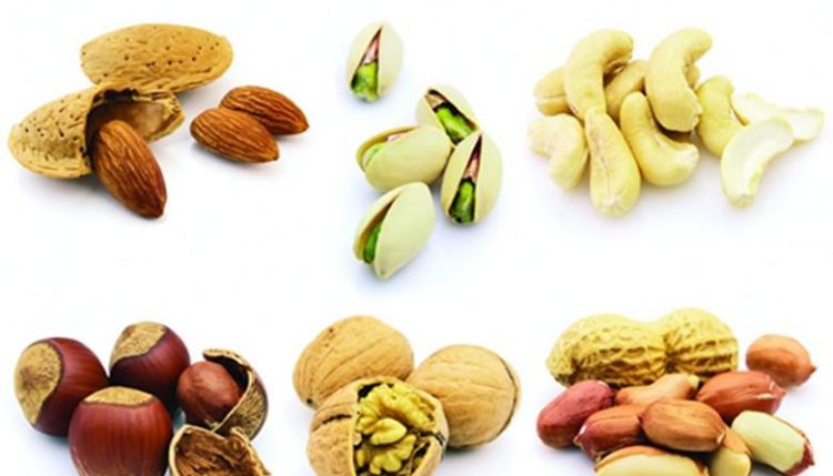 什么是坚果类食物
