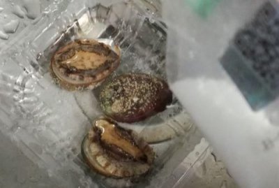 ​鲍鱼怎么清洗，鲍鱼怎么洗干净，鲍鱼的正确清洗方法？