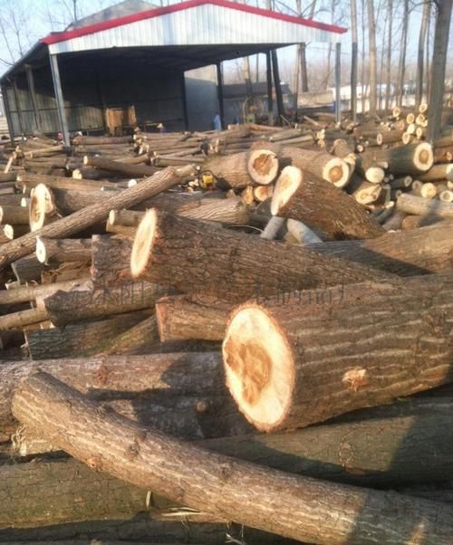 新木桶为什么要泡72小时