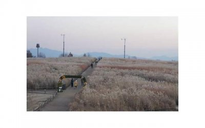 ​王鸥谍战剧，王鸥、周冬雨、童瑶都主演过谍战剧女特工