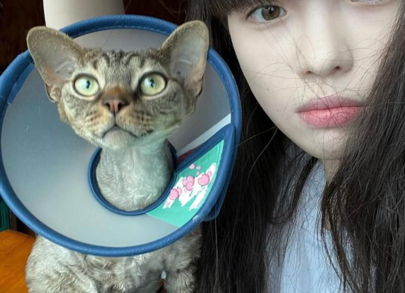 民法典规定遗弃孩子的有监护权吗