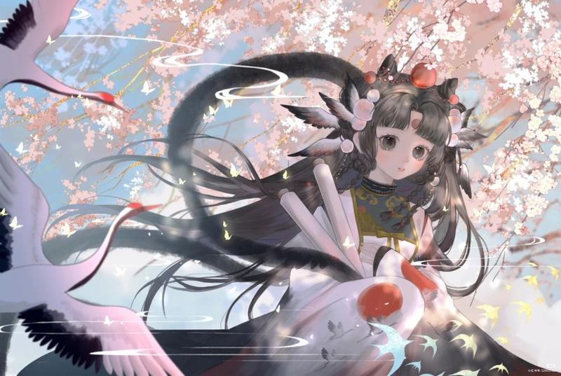 玫瑰花有什么颜色（玫瑰颜色品种那么多）